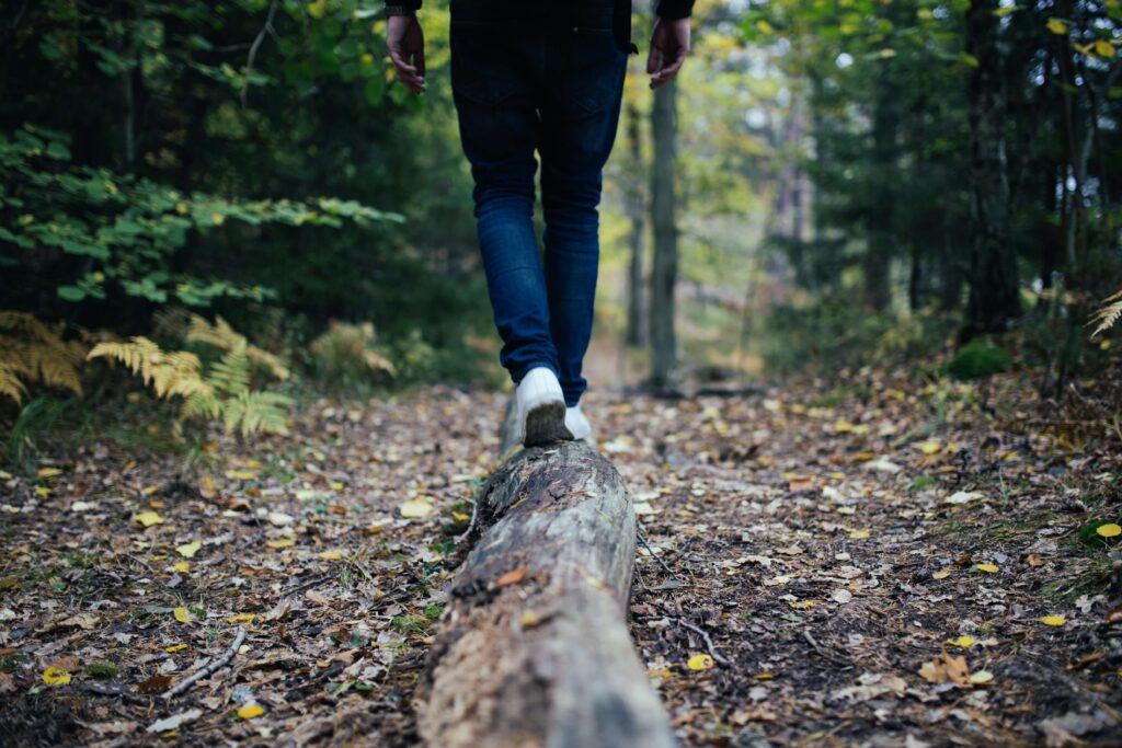 An autumunam forest scene where many of the leaves are green yet some are turning yellow and golden. The bottom half of a person is seen walking away from the camera along a wooden log.